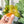 Load image into Gallery viewer, English Paper Piecing Set of 3 - 1/4" Seam Allowance - "Box Top" Style - Lemon - Acrylic Template