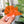 Load image into Gallery viewer, English Paper Piecing Set of 3 - 1/4" Seam Allowance - "Box Top" Style - Tangerine - Acrylic Template