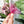 Load image into Gallery viewer, English Paper Piecing Set of 3 - 3/8" Seam Allowance - "Box Top" Style - Pink - Acrylic Template