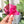 Load image into Gallery viewer, English Paper Piecing Set of 3 - 3/8" Seam Allowance - "Box Top" Style - Magenta - Acrylic Template