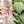 Load image into Gallery viewer, Hidden D-Ring Design Tool - For 1" and 1.5" Wide Connectors - Pink
