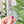 Load image into Gallery viewer, English Paper Piecing Set of 3 - 1/4" Seam Allowance - "Box Top" Style - Soda - Acrylic Template