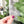 Load image into Gallery viewer, English Paper Piecing Set of 3 - 1/4" Seam Allowance - "Box Top" Style - Clear - Acrylic Template