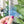 Load image into Gallery viewer, English Paper Piecing Set of 3 - 1/4" Seam Allowance - "Box Top" Style - Ocean - Acrylic Template