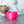 Load image into Gallery viewer, Spiked Craft Bowl - Hot Pink - Designed by Newt!