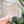 Load image into Gallery viewer, Removable Slots Strapzeez™ - Rose Gold Mirror