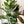 Load image into Gallery viewer, Clear/White OklaRuler : 1" x 6" Clear Ruler
