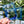Load image into Gallery viewer, Blue ID Pocket - Acrylic Template