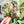 Load image into Gallery viewer, Pink ID Pocket - Acrylic Template