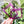 Load image into Gallery viewer, Purple ID Pocket - Acrylic Template