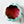Load image into Gallery viewer, Large Pumpkin Craft Bowl - Cherry / Baby Blue Combo - Designed by Newt!
