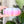 Load image into Gallery viewer, Large Pumpkin Craft Bowl - Matte Rainbow - Pink and Purple - Designed by Newt!
