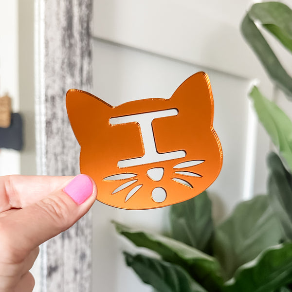 Removable Cat Head Strapzeez™ - Pumpkin Mirror