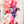PATREON EXCLUSIVE PREORDER: Mouse Fancy Straps - Size 1