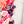 PATREON EXCLUSIVE PREORDER: Mouse Fancy Straps - Size 1.5