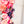 PATREON EXCLUSIVE PREORDER: Mouse Fancy Straps - Size 1.5