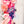PATREON EXCLUSIVE PREORDER: Mouse Fancy Straps - Size 1.5