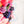 PATREON EXCLUSIVE PREORDER: Hearts Fancy Straps - Size 1.5
