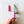 5-1/2in Curved Tip Scissors