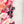Hearts Fancy Straps - Size 1.5