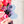Hearts Fancy Straps - Size 1.5