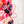 Hearts Fancy Straps - Size 1.5