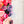 Hearts Fancy Straps - Size 1.5