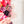 Hearts Fancy Straps - Size 1.5