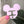 Load image into Gallery viewer, Removable Mouse Head Strapzeez™ - Pastel Lavender
