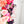 Mouse Fancy Straps - Size 1