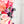 Mouse Fancy Straps - Size 1