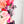 PATREON EXCLUSIVE PREORDER: Mouse Fancy Straps - Size 1