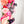 PATREON EXCLUSIVE PREORDER: Mouse Fancy Straps - Size 1.5