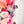 PATREON EXCLUSIVE PREORDER: Mouse Fancy Straps - Size 1.5