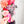 PATREON EXCLUSIVE PREORDER: Mouse Fancy Straps - Size 1.5