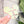 Load image into Gallery viewer, Removable Mouse Head Strapzeez™ - Sunset Holographic
