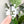 Load image into Gallery viewer, Removable Bee Head Strapzeez™ - Clear
