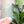 Load image into Gallery viewer, Removable Bee Head Strapzeez™ - Light Green
