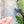 Load image into Gallery viewer, Removable Bee Head Strapzeez™ - Ocean
