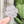 Removable Flower Strapzeez™ - Rippled Textured Lavender