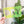 Load image into Gallery viewer, Wet +Dry for Wet/Dry Bag - CutOuts - LEMON - An Applique Template
