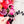 PATREON EXCLUSIVE PREORDER: Hearts Fancy Straps - Size 1.5