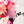 PATREON EXCLUSIVE PREORDER: Mouse Fancy Straps - Size 1