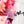 PATREON EXCLUSIVE PREORDER: Mouse Fancy Straps - Size 1