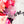 Mouse Fancy Straps - Size 1