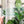 Load image into Gallery viewer, Clean + Dirty for Wet/Dry Bag - CutOuts - LIGHT GREEN - An Applique Template
