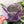5 - 5.5 - 6 - 6.5 Inch BIG Rounded Corners  - Glitter Purple -  Acrylic Template