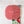 5 - 5.5 - 6 - 6.5 Inch BIG Rounded Corners  - Frosted Watermelon -  Acrylic Template