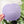 5 - 5.5 - 6 - 6.5 Inch BIG Rounded Corners  - Frosted Violet -  Acrylic Template