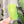 Load image into Gallery viewer, Rounded Fancy Straps - Size 1&quot; - Neon Yellow - Set of 3 - Acrylic Template
